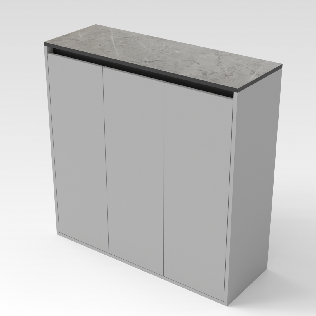 Light Gray & Black Shoe Cabinet