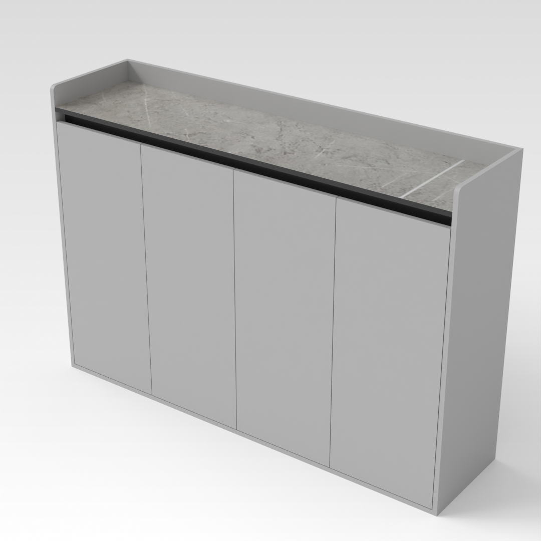 Light Gray & Black Shoe Cabinet