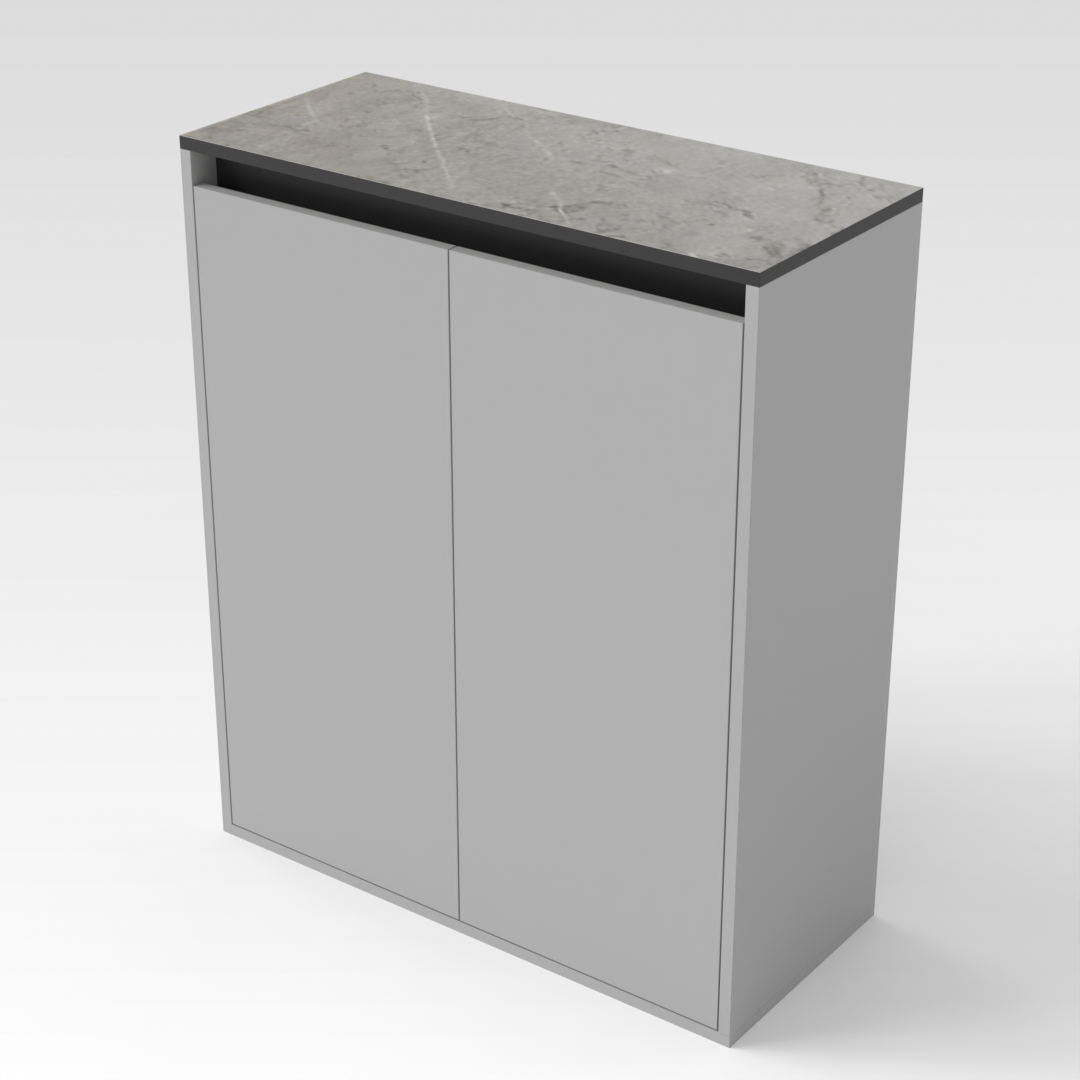 Light Gray & Black Shoe Cabinet