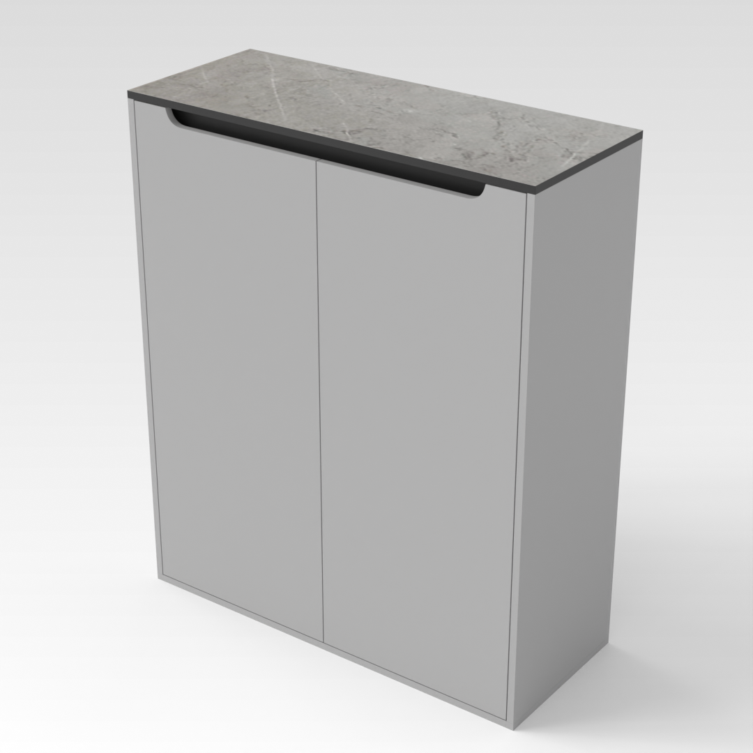 Light Gray & Black Shoe Cabinet
