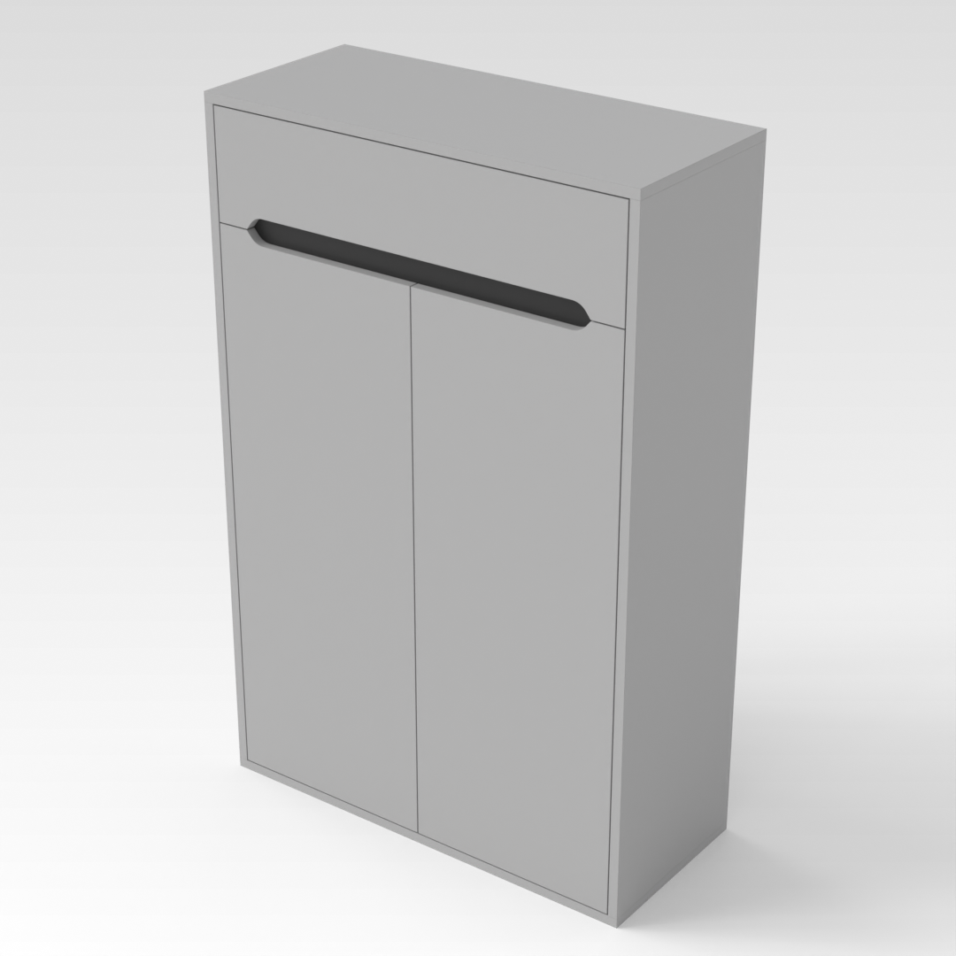 Light Gray & Black Shoe Cabinet