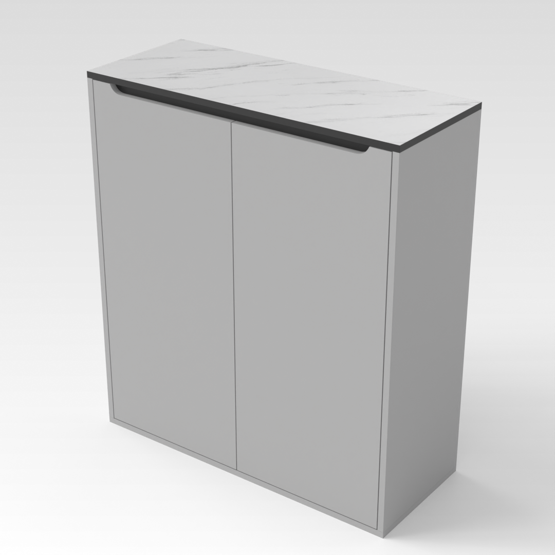 Light Gray & Black Shoe Cabinet