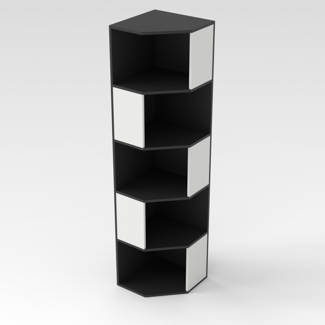 Black & Warm White Bookshelf